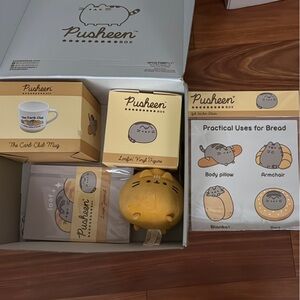 Pusheen Yellow and Gray Decor Accents exclusive surprise collectible box bread